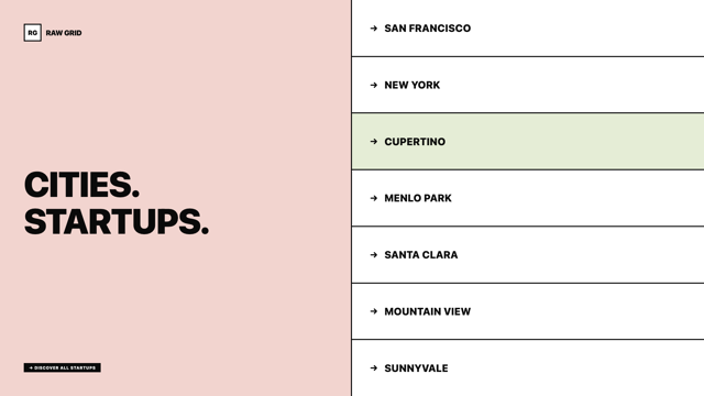 Raw Grid — neo-brutalist borders, pink & sage